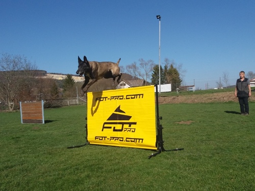 dog training hurdle for IPO